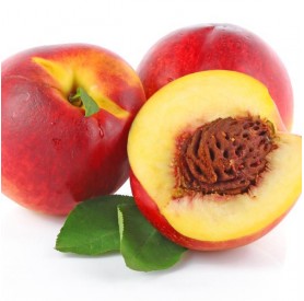 Prunus persica ‘Fantázia’ - Őszibarack