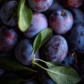 Prunus domestica 'Althán ringló' - Szilva