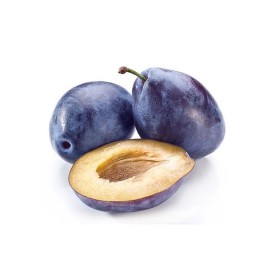 Prunus domestica 'President' - Szilva