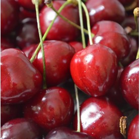 Prunus avium 'Katalin' - Cseresznye