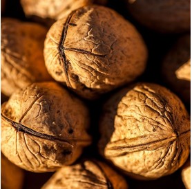 Juglans regia 'Milotai 10' - Dió