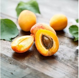 Prunus armeniaca 'Nyújtó Ferenc emléke' - Kajszi