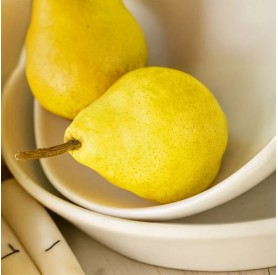 Pyrus communis 'Arabitka' - Körte