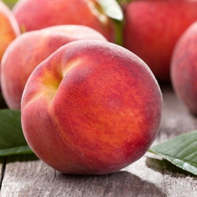 Prunus persica 'Fayette' - Őszibarack