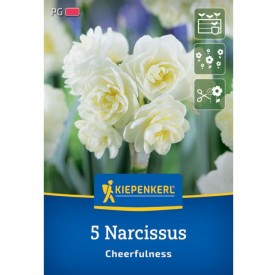 Narcissus 'Cheerfulness' - Hagyma