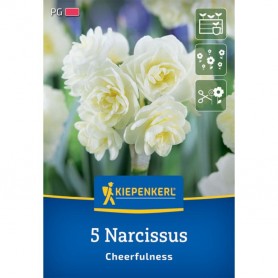 Narcissus 'Cheerfulness' - Hagyma