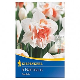 Narcissus 'Replete' - Hagyma