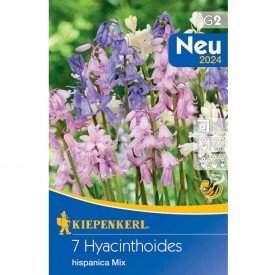 Hyacinthoides Mix - Hagyma