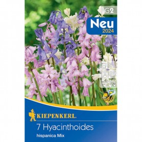 Hyacinthoides Mix - Hagyma