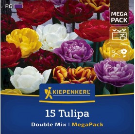 Narcissus 'Double Mix' - Hagyma