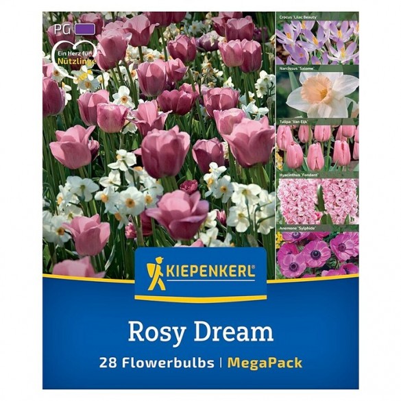 Tulipa 'Rosy Dream Mix' - Hagyma