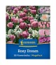 Tulipa 'Rosy Dream Mix' - Hagyma