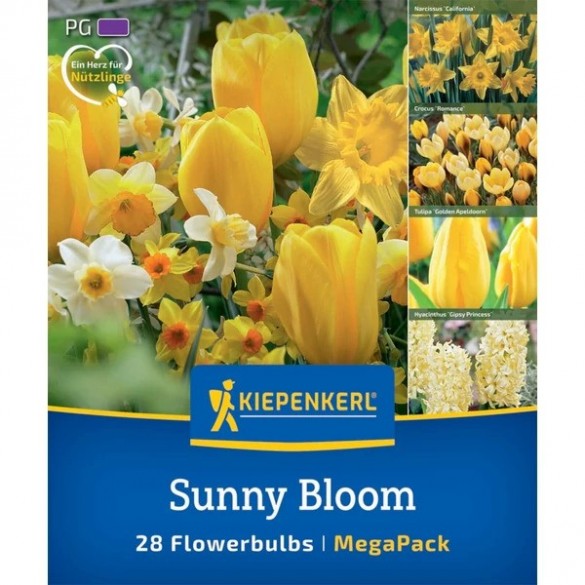 Tulipa 'Sunny Bloom Mix' - Hagyma