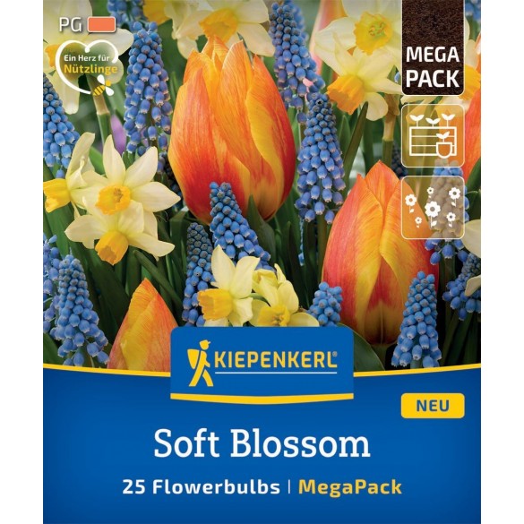 Tulipa 'Soft Blossom Mix' - Hagyma