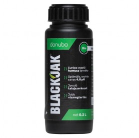 BlackJak 0.2l