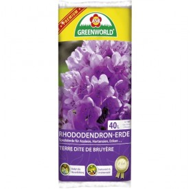 ASB Rhododendron virágföld